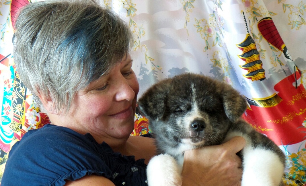 Japanese Akita Canada Breeder Ontario Serdess